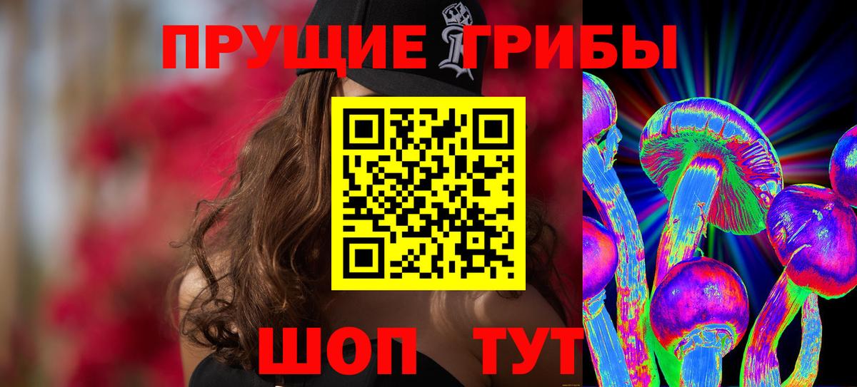 Псилоцибиновые грибы GOLDEN TEACHER  Вход с VPN  Галлюциногенные грибы MAGIC MUSHROOMS  Лесозаводск 