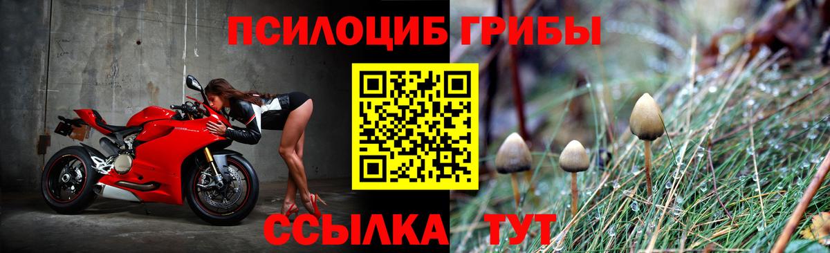 Лесозаводск  MDMA  Cocaine  Вход с VPN  Гашиш  Конопля  Мефедрон  МЕФ кристаллы 
